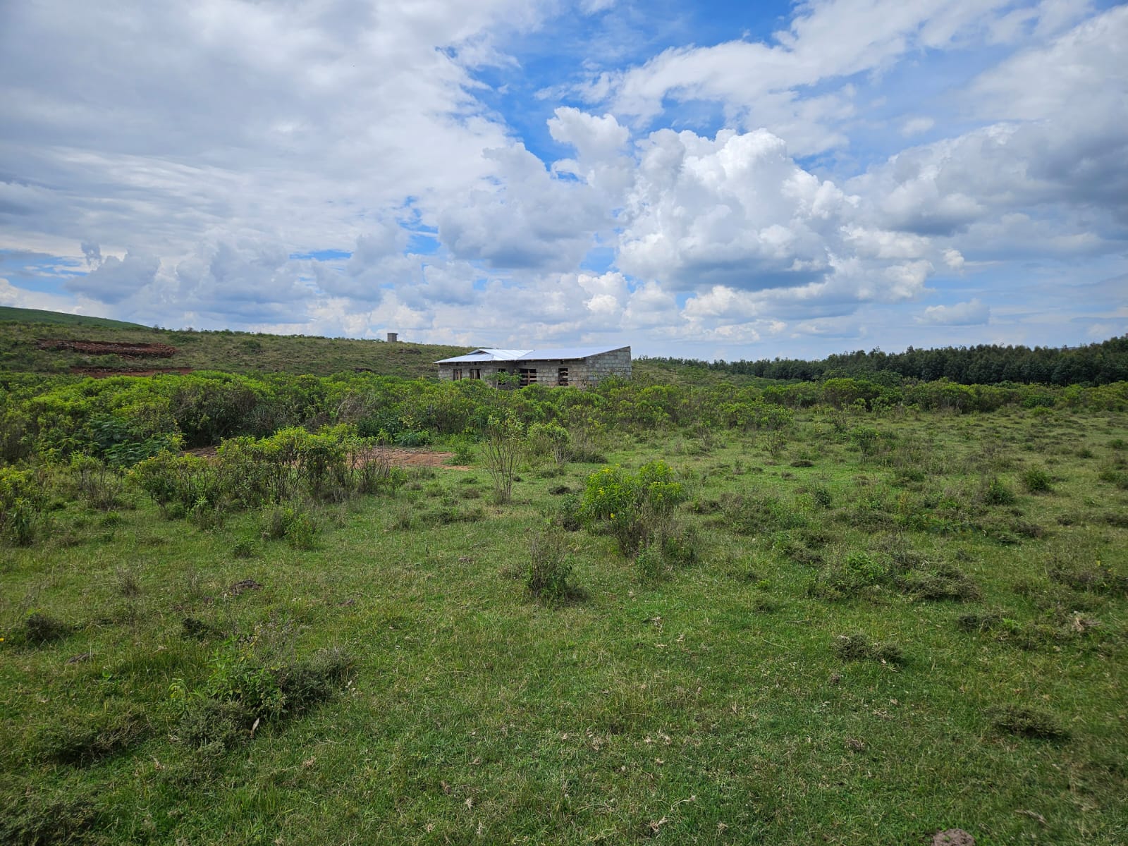 Gilgil - Gema