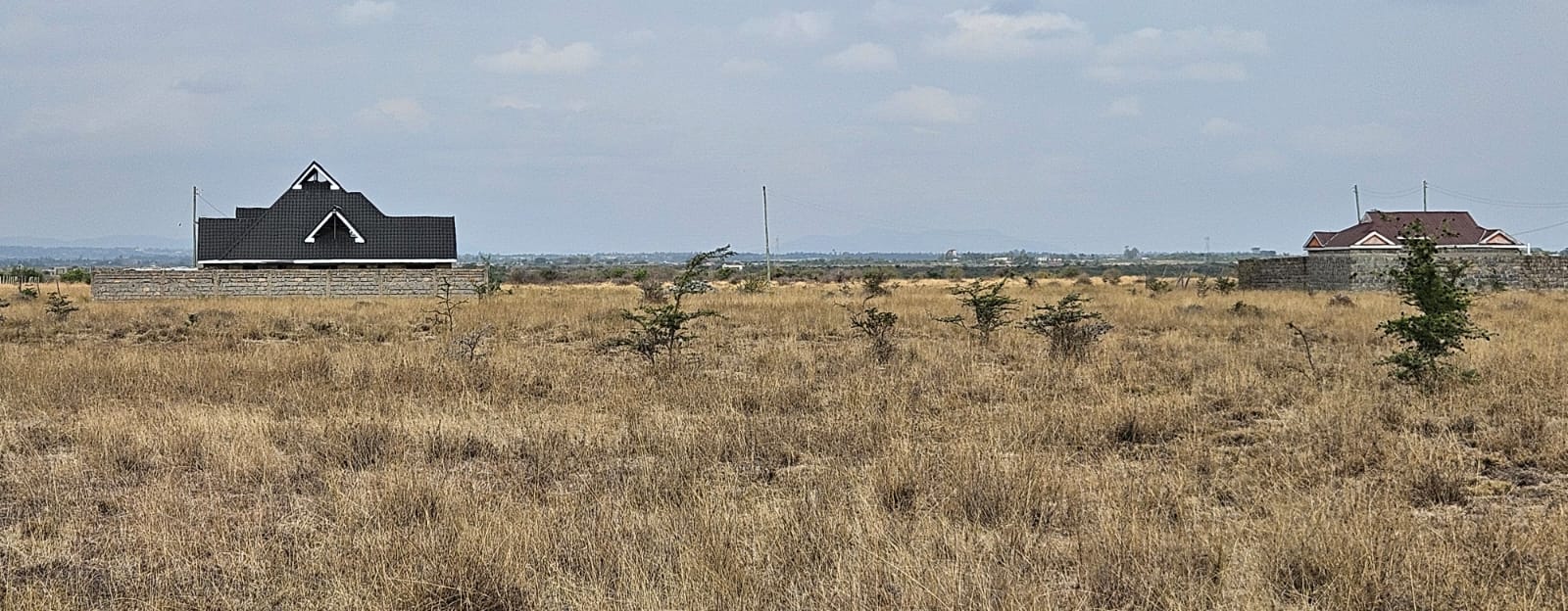 Juja 1