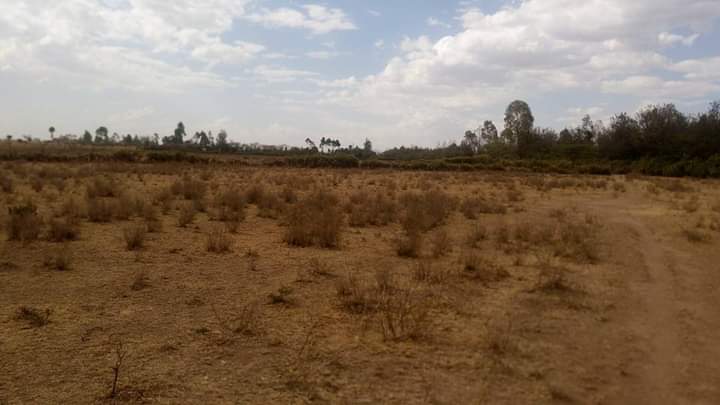 Gilgil - Nagum