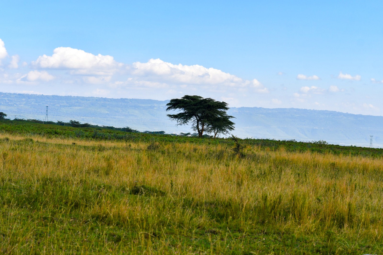Naivasha