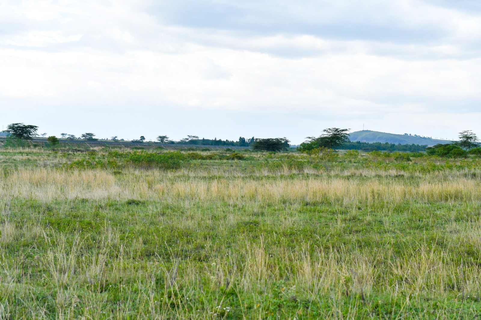 Naivasha