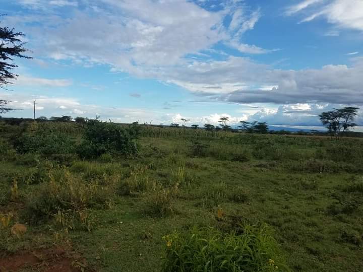 Rumuruti 1