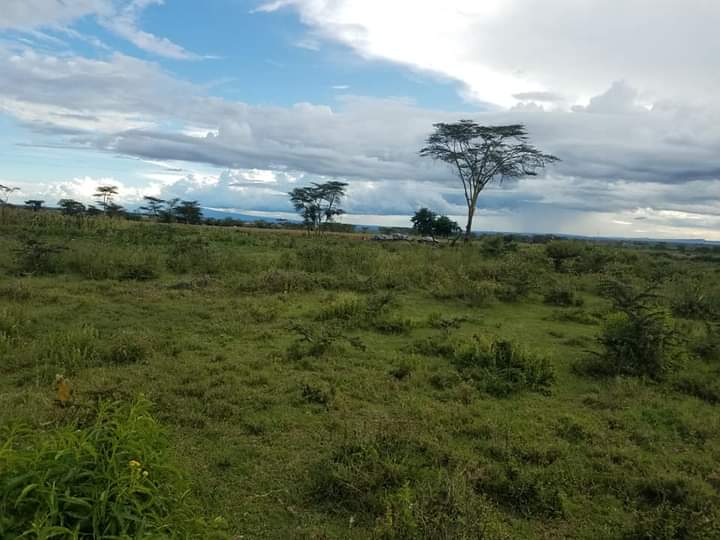 Rumuruti 2