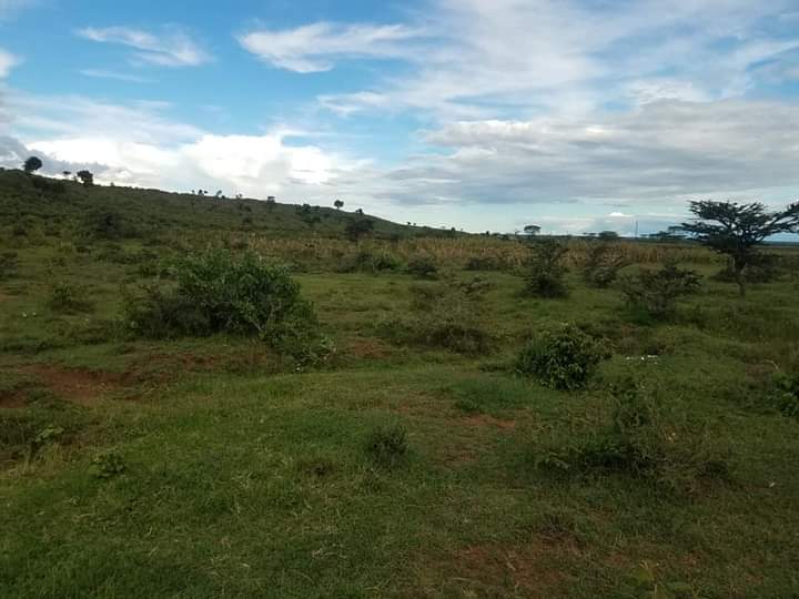 Rumuruti 4
